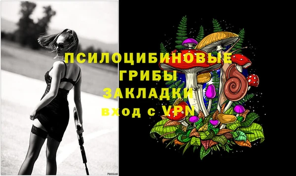 экстази Алексин